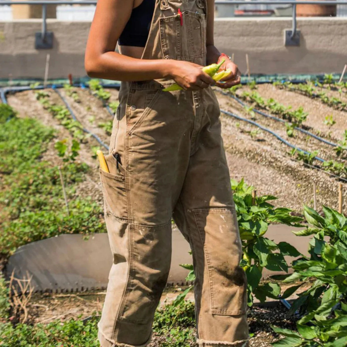 Jetta Salopette à bavette en toile duck Ridge